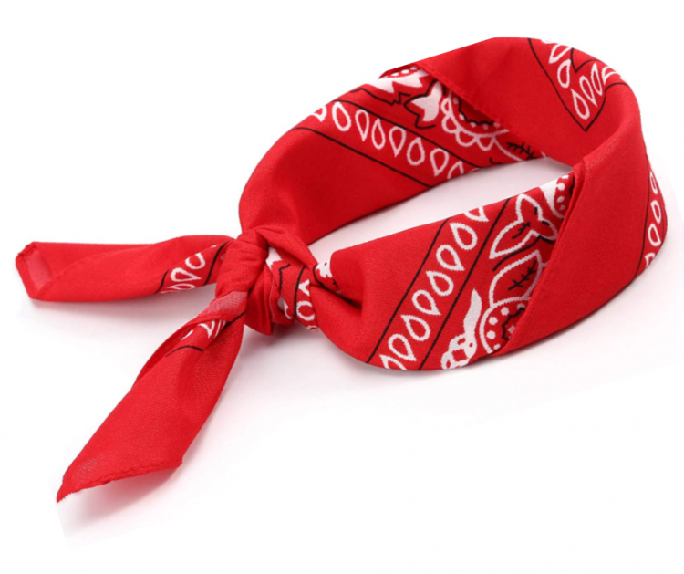 Red Paisley Bandana – Consider The Fields